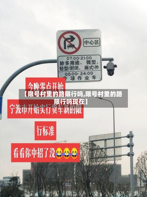 【限号村里的路限行吗,限号村里的路限行吗现在】-第2张图片