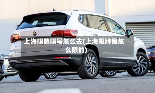 上海限牌限号怎么去(上海限牌是怎么限的)