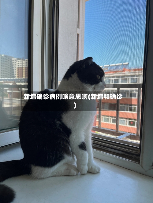 新增确诊病例啥意思啊(新增和确诊)-第2张图片