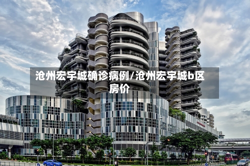 沧州宏宇城确诊病例/沧州宏宇城b区房价-第3张图片