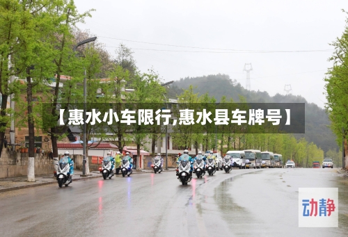 【惠水小车限行,惠水县车牌号】