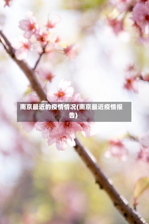 南京最近的疫情情况(南京最近疫情报告)-第2张图片