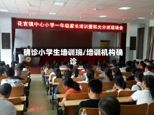 确诊小学生培训班/培训机构确诊-第2张图片