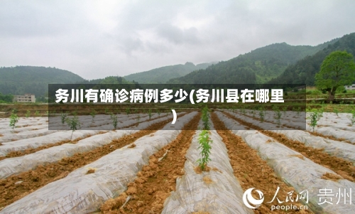 务川有确诊病例多少(务川县在哪里)