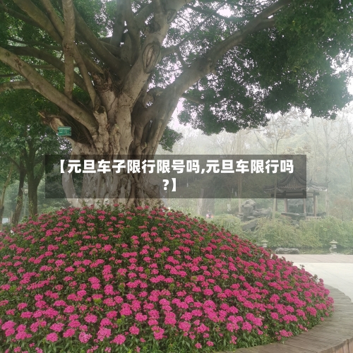 【元旦车子限行限号吗,元旦车限行吗?】-第2张图片