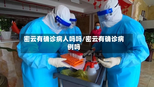 密云有确诊病人吗吗/密云有确诊病例吗