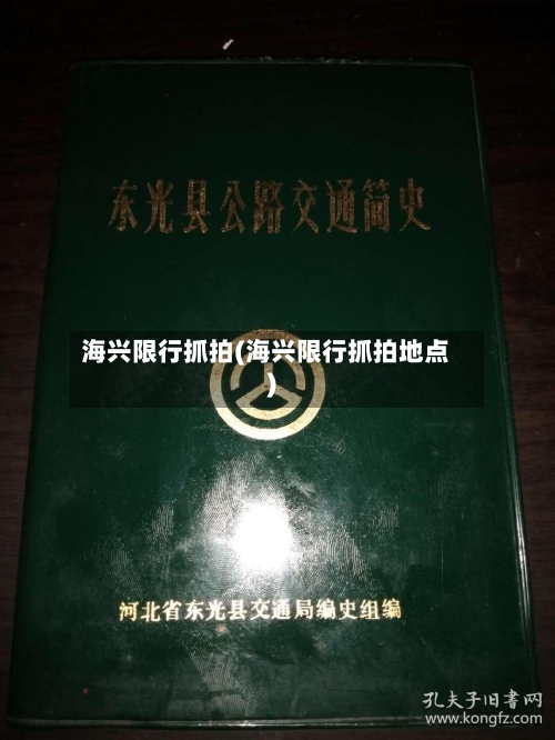 海兴限行抓拍(海兴限行抓拍地点)-第2张图片