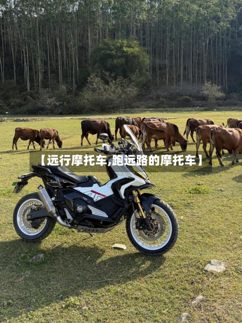 【远行摩托车,跑远路的摩托车】