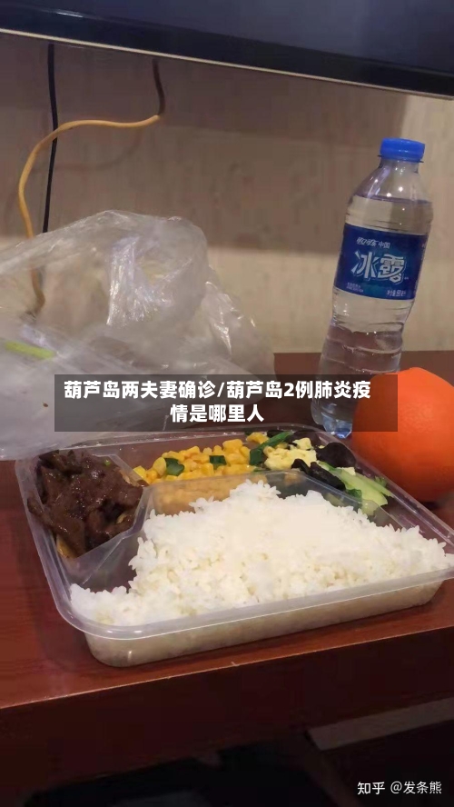 葫芦岛两夫妻确诊/葫芦岛2例肺炎疫情是哪里人