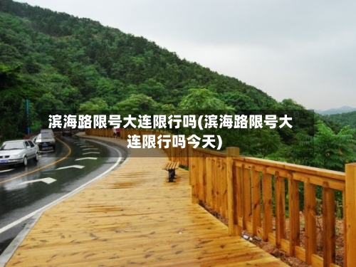 滨海路限号大连限行吗(滨海路限号大连限行吗今天)-第3张图片