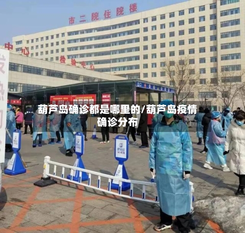 葫芦岛确诊都是哪里的/葫芦岛疫情确诊分布-第2张图片