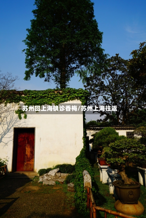 苏州回上海确诊香梅/苏州上海往返-第2张图片