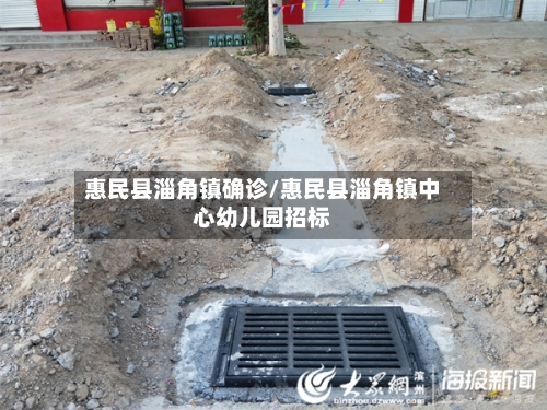 惠民县淄角镇确诊/惠民县淄角镇中心幼儿园招标-第1张图片