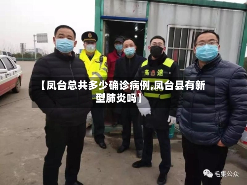 【凤台总共多少确诊病例,凤台县有新型肺炎吗】-第2张图片