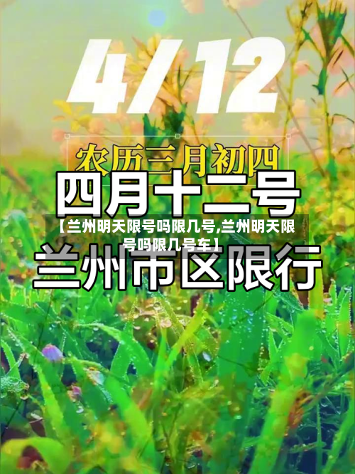 【兰州明天限号吗限几号,兰州明天限号吗限几号车】-第2张图片