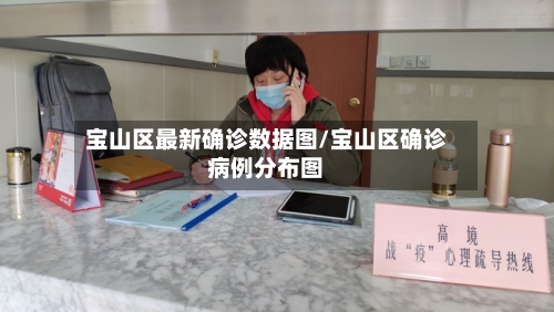 宝山区最新确诊数据图/宝山区确诊病例分布图-第3张图片