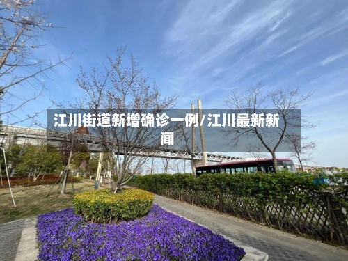 江川街道新增确诊一例/江川最新新闻