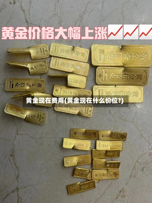 黄金现在费用(黄金现在什么价位?)