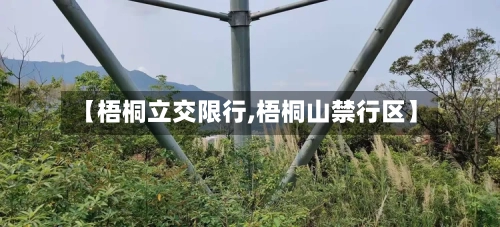 【梧桐立交限行,梧桐山禁行区】-第2张图片