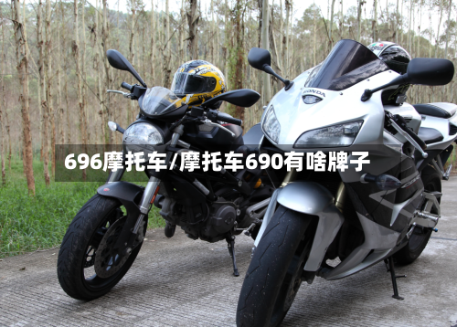 696摩托车/摩托车690有啥牌子